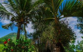 Le Domaine Le Domaine