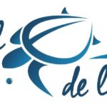 Partenaires Partenaires